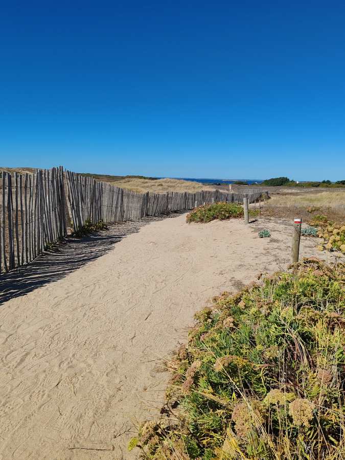 Chemin de balade entre dunes et ganivelles