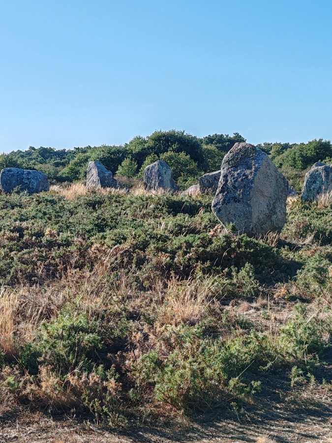 Menhirs des alignements de Carnac